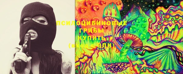 сатива Дмитриев
