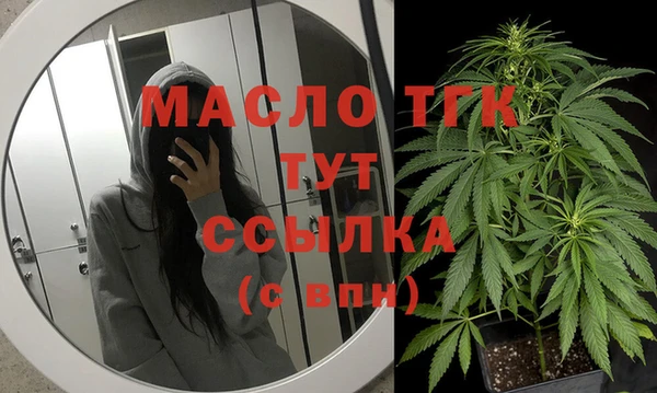 сатива Дмитриев