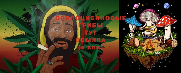 Альфа ПВП Дмитров