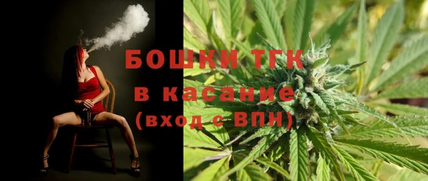 сатива Дмитриев