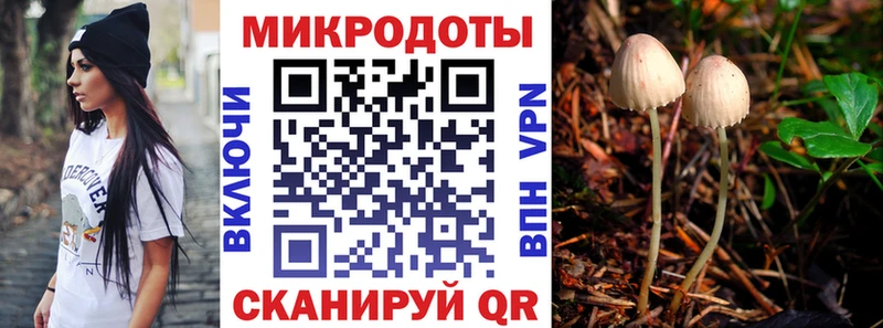 цена наркотик  Гвардейск  Галлюциногенные грибы ЛСД 