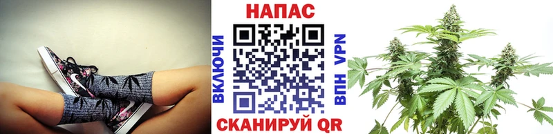 blacksprut зеркало  Гвардейск  Марихуана ГИДРОПОН  наркота 